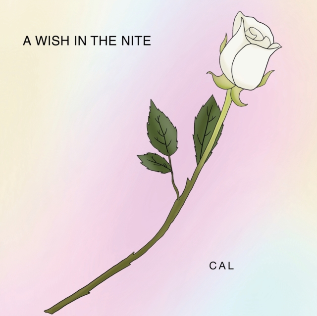 A Wish in the Nite, Paperback / softback Book