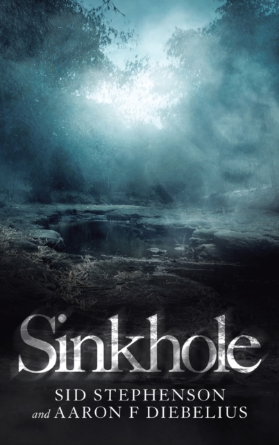 Sinkhole, Hardback Book