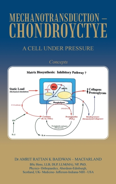 Mechanotransduction - Chondroyctye : A Cell Under Pressure, Hardback Book