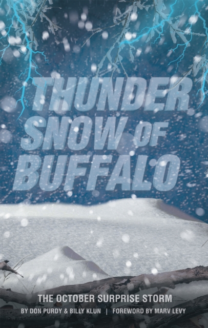 Thunder Snow of Buffalo : The October Surprise Storm, EPUB eBook
