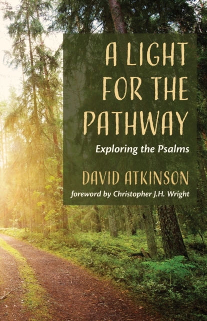 A Light for the Pathway, Paperback / softback Book