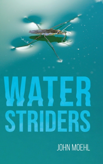 Water Striders, Hardback Book