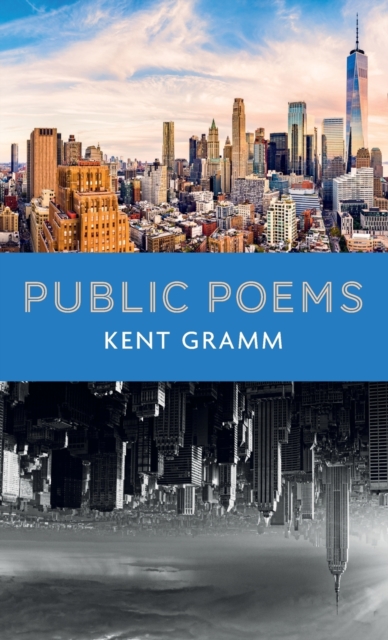 Public Poems, Hardback Book