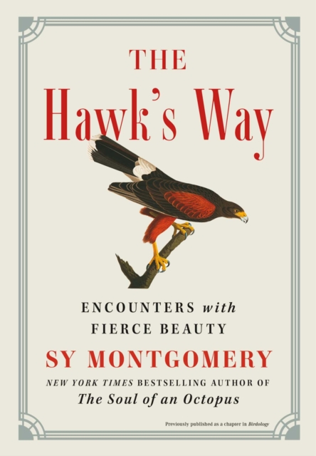 The Hawk's Way : Encounters with Fierce Beauty, Hardback Book