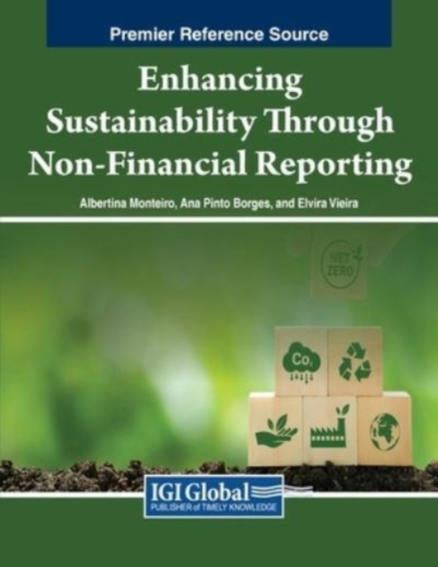 Enhancing Sustainability Through Non-Financial Reporting, Paperback / softback Book