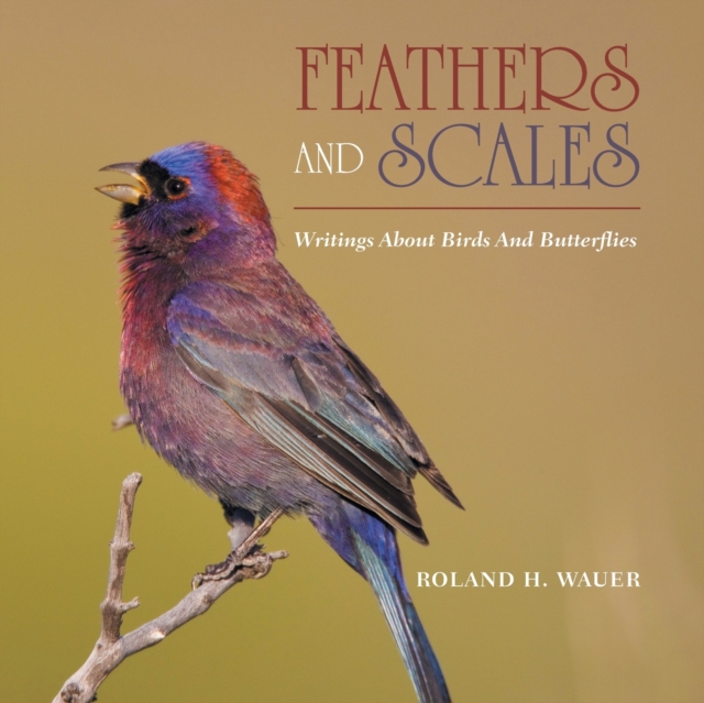 Feathers and Scales : Writings About Birds and Butterflies, Paperback / softback Book