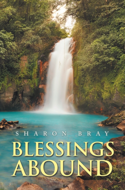 Blessings Abound, EPUB eBook