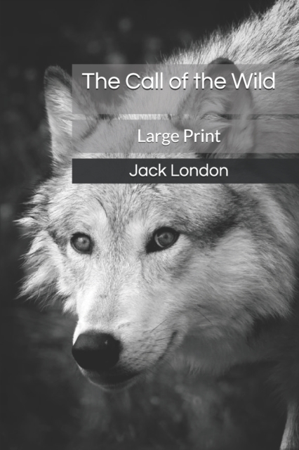 The Call of the Wild : Large Print, Paperback / softback Book