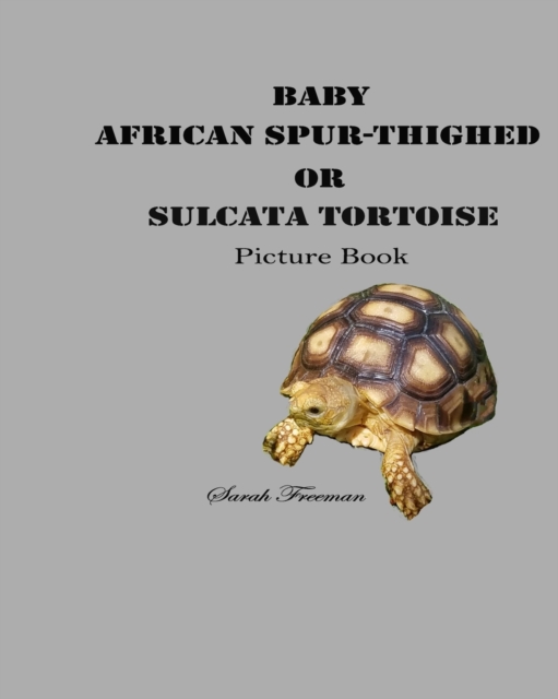 Baby African Spur-Thighed or Sulcata Tortoise Picture Book, Paperback / softback Book