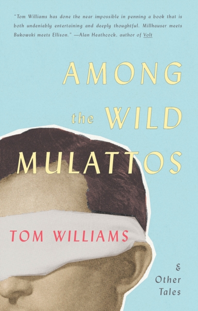 Among The Wild Mulattos and Other Tales, Paperback / softback Book