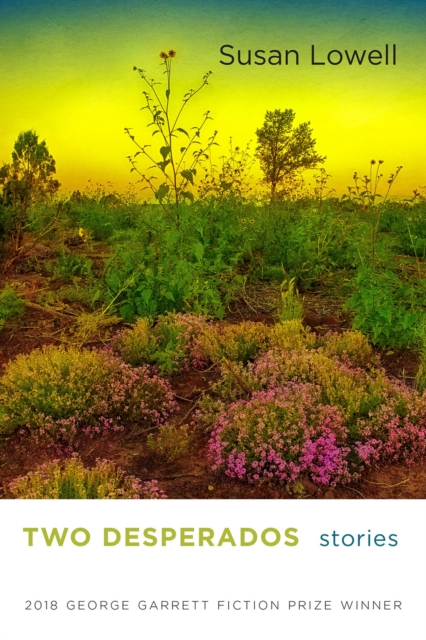 Two Desperados : Stories, Paperback / softback Book