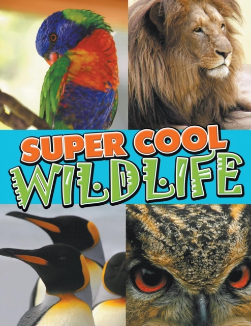 Super Cool Wildlife, Paperback / softback Book
