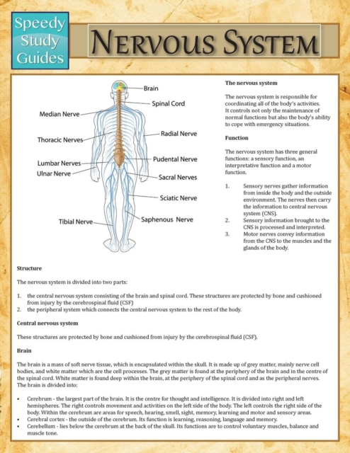 Nervous System (Speedy Study Guide), Paperback / softback Book
