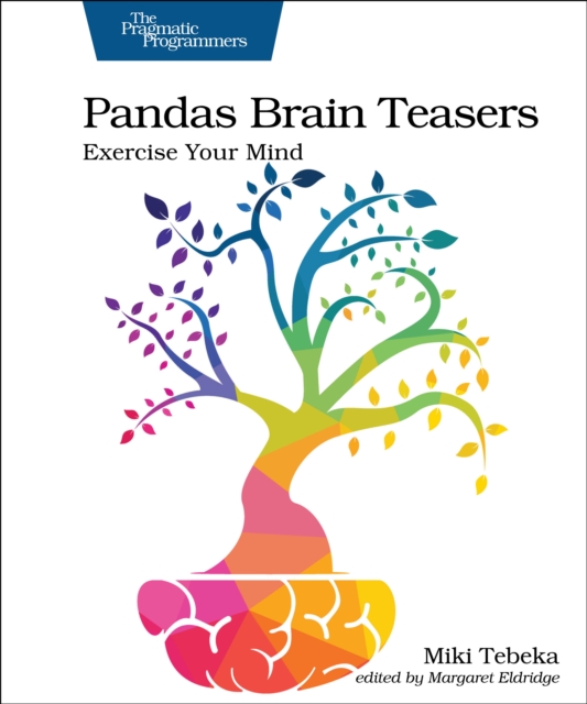 Pandas Brain Teasers : Exercise Your Mind, Paperback / softback Book