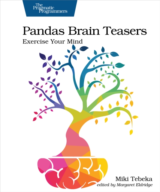 Pandas Brain Teasers, EPUB eBook