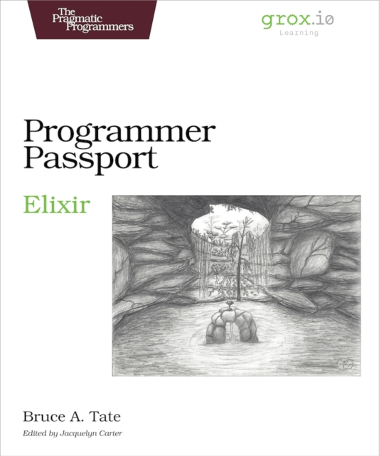 Programmer Passport: Elixir, PDF eBook