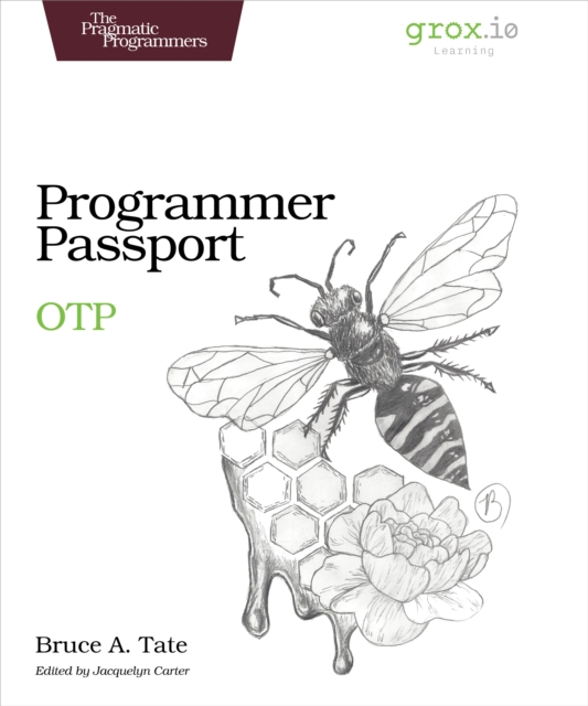 Programmer Passport: OTP, EPUB eBook