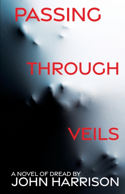 Passing Through Veils, Paperback / softback Book