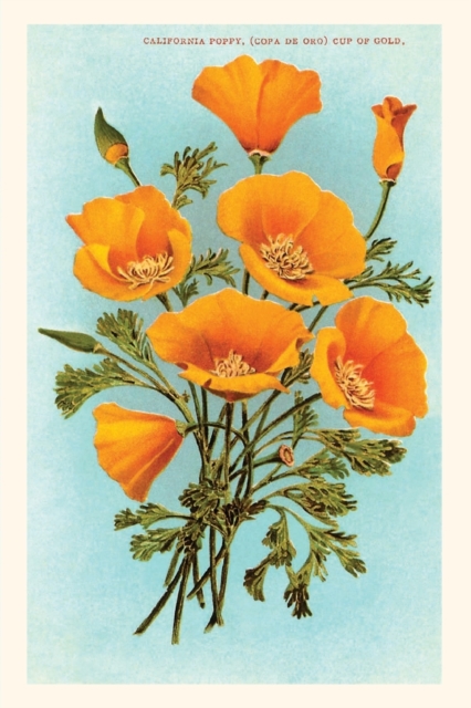 Vintage Journal California Poppies, Paperback / softback Book