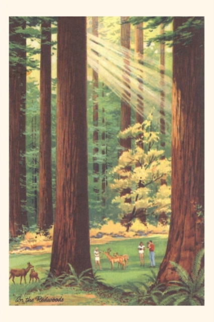 Vintage Journal California Redwoods, Paperback / softback Book