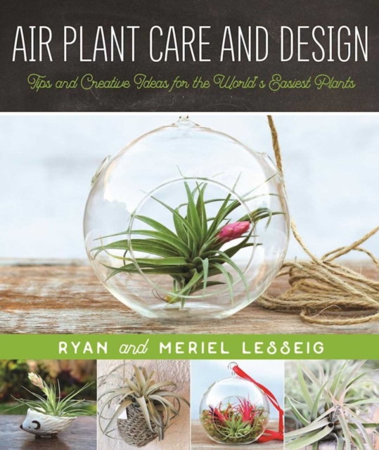 Air Plant Care and Design : Tips and Creative Ideas for the World's Easiest Plants, EPUB eBook