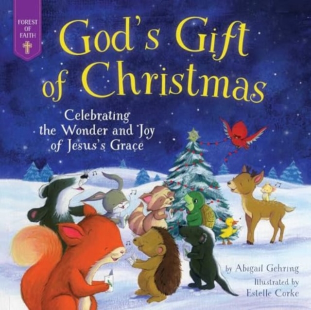 God's Gift of Christmas : Celebrating the Wonder and Joy of Jesus's Grace, Hardback Book