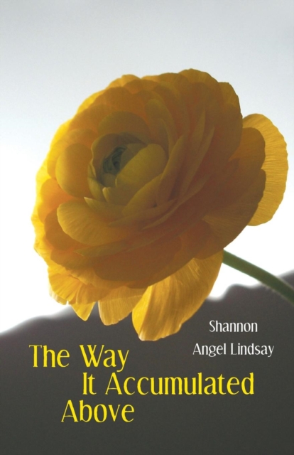 The Way It Accumulated Above, Paperback / softback Book