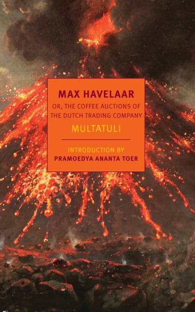 Max Havelaar, EPUB eBook
