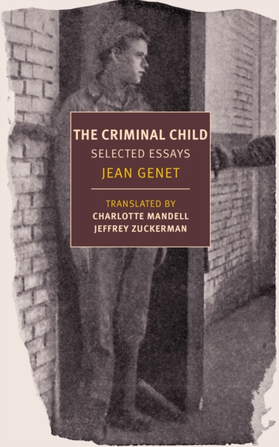 Criminal Child : Selected Essays, Paperback / softback Book