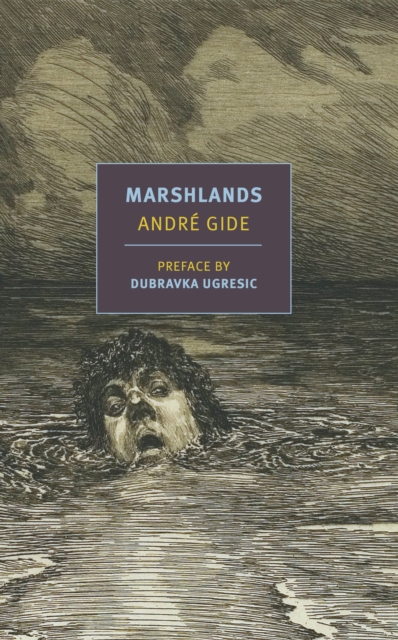Marshlands, Paperback / softback Book