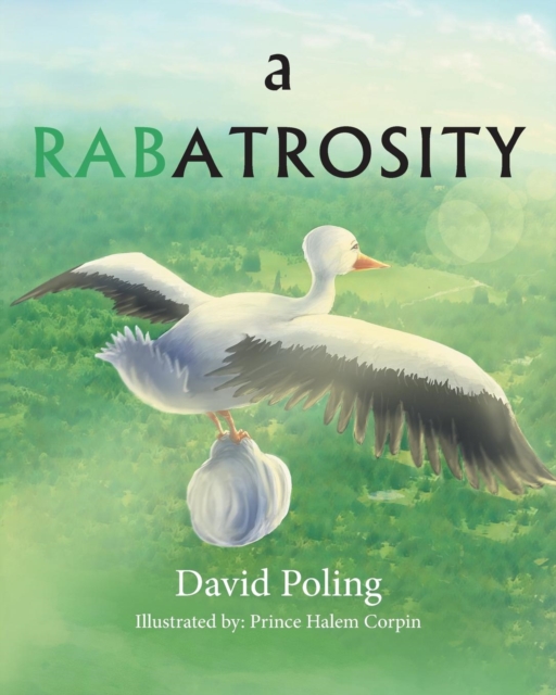 A Rabatrosity, Paperback / softback Book