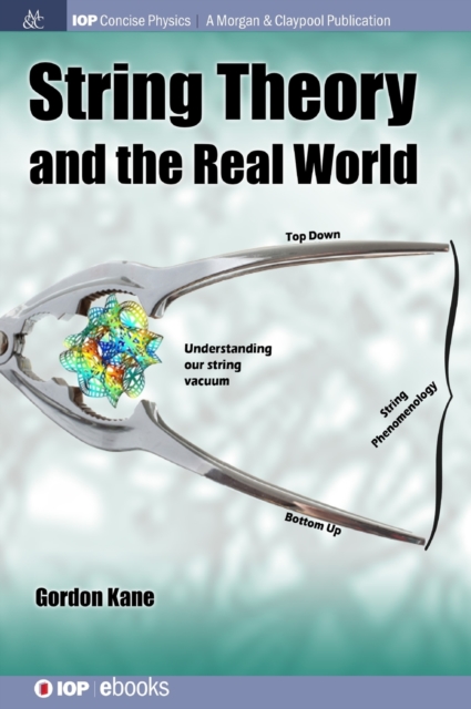 String Theory and the Real World, Hardback Book
