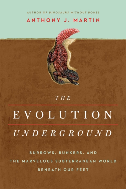 The Evolution Underground, EPUB eBook