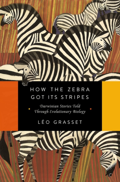 How the Zebra Got Its Stripes, Hardback Book