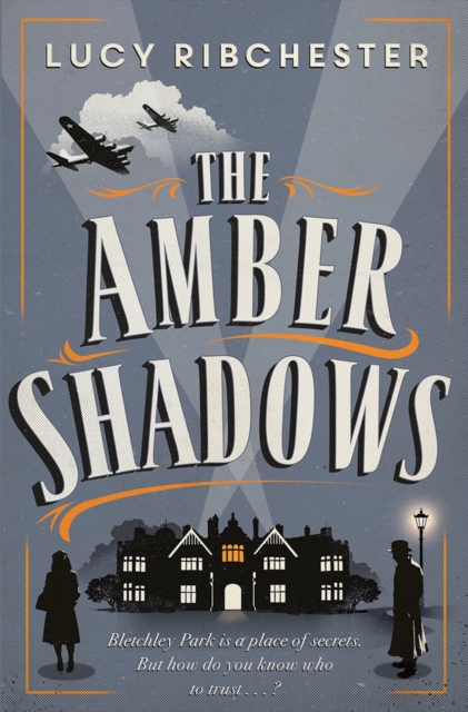The Amber Shadows - A Novel, Hardback Book