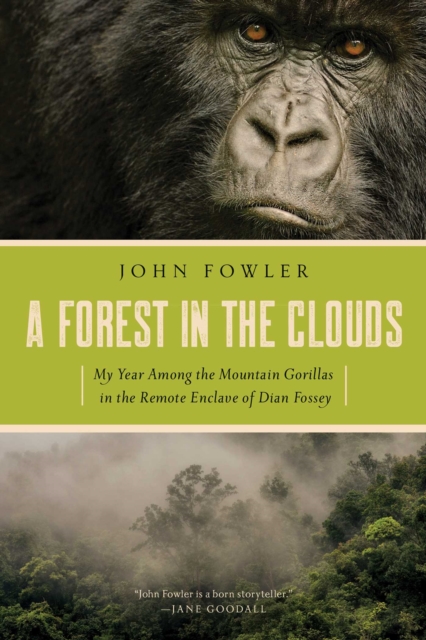 A Forest in the Clouds, EPUB eBook