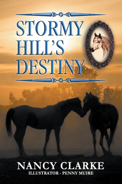 Stormy Hill's Destiny : Book 7, Paperback / softback Book