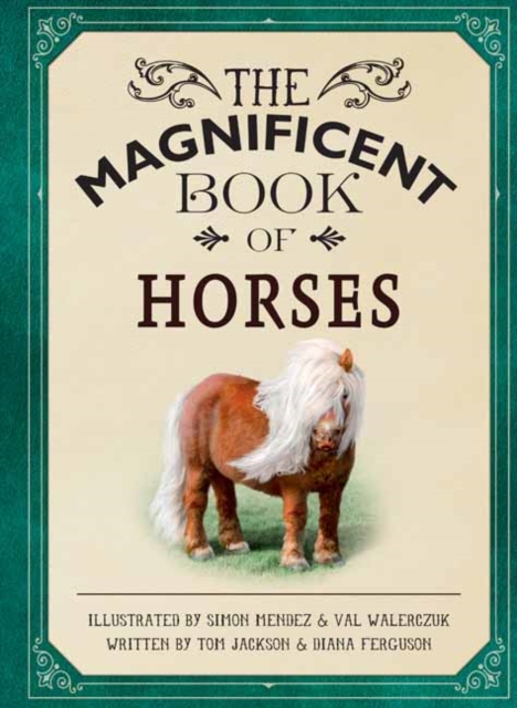 The Magnificent Book of Horses, Hardback Book