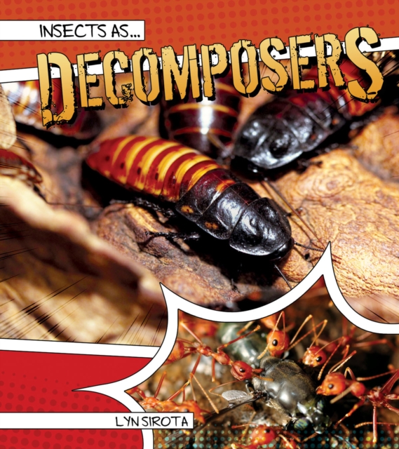 Insects as Decomposers, PDF eBook
