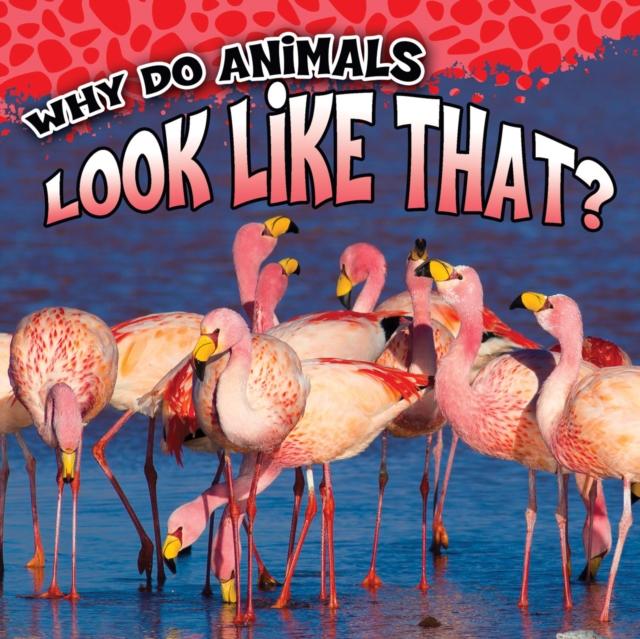 Why Do Animals Look Like That?, PDF eBook