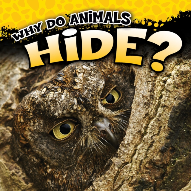 Why Do Animals Hide?, PDF eBook