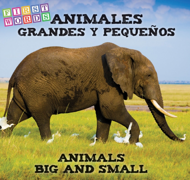 Animales grandes y pequenos : Animals Big and Little, PDF eBook