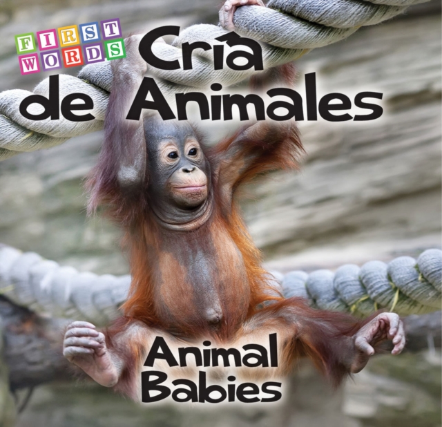 Cria de animales : Animal Babies, PDF eBook