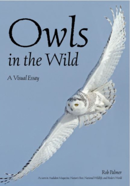 Owls In The Wild : A Visual Essay, Paperback / softback Book
