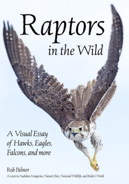 Raptors In The Wild : A Visual Essay of Hawks, Eagles, Falcons, and more., Paperback / softback Book