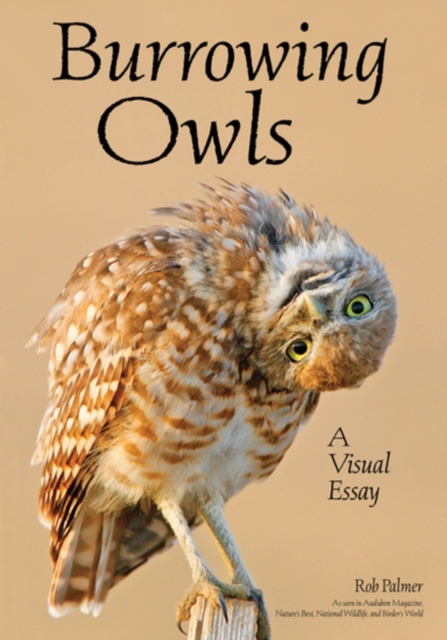 Burrowing Owls : A Visual Essay, Paperback / softback Book