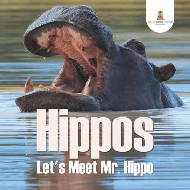 Hippos - Let's Meet Mr. Hippo, Paperback / softback Book