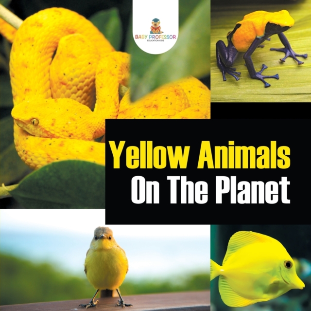 Yellow Animals on the Planet, Paperback / softback Book