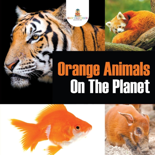 Orange Animals on the Planet, Paperback / softback Book