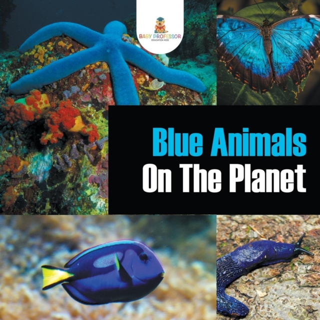 Blue Animals on the Planet, Paperback / softback Book